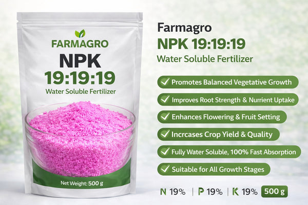 NPK 19:19:19 – Water Soluble Fertilizer